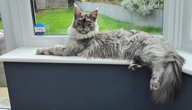 Freyja